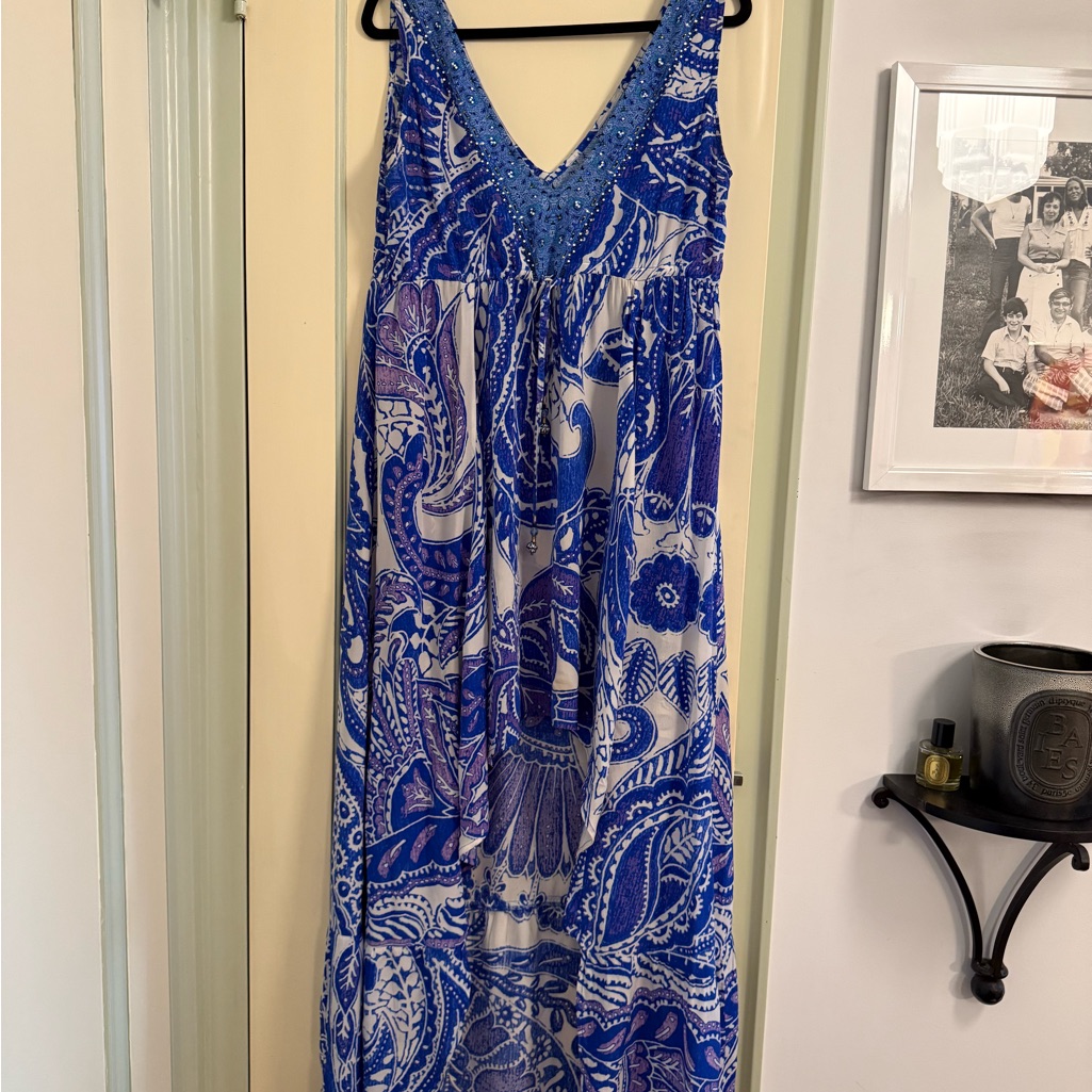 Blue And White Paisley Maxi Dress